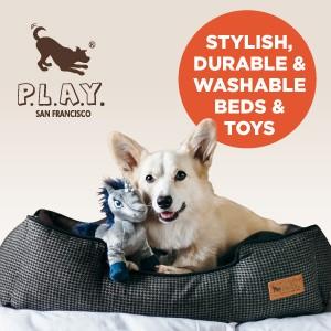 P.L.A.Y. Pet Lifestyle And You